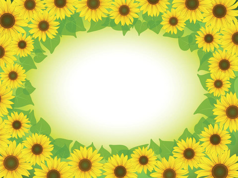 向日葵框架
