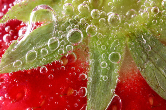 Strawberry在水宏