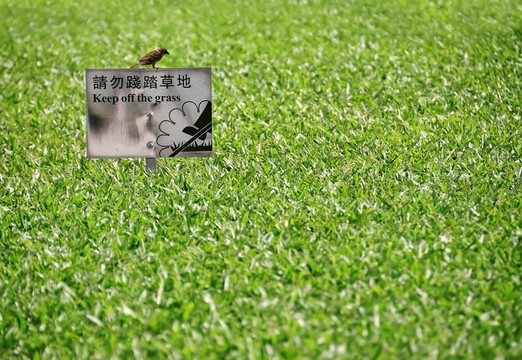 請(qǐng)勿踐踏草坪