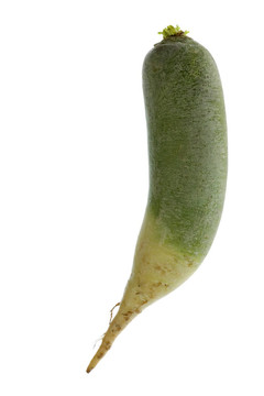 綠蘿卜