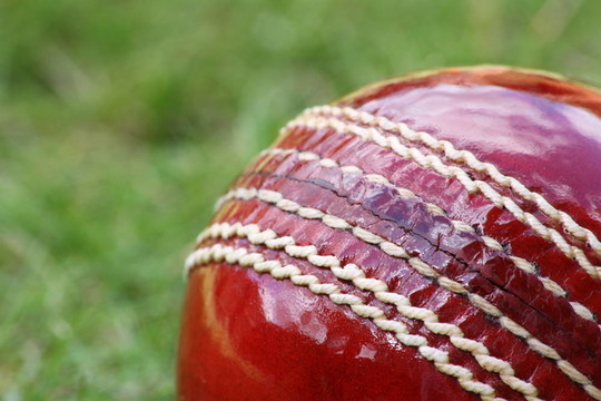 蟋蟀Ball Macro