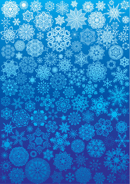 120雪花。