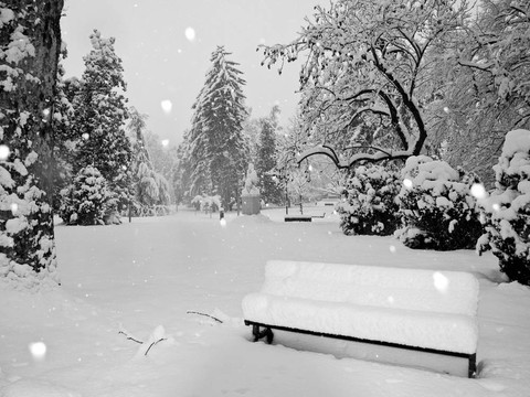 雪花