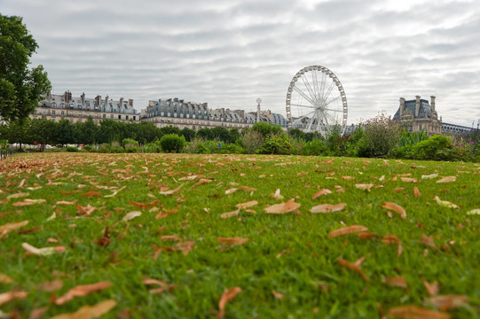 秋天的城市公園里的綠色草坪