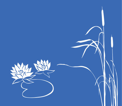 藍(lán)色背景上的睡蓮和蘆葦。