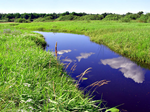 田野上的小河