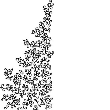 精致的花卉小品lxxxiv