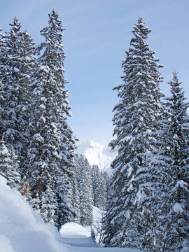 滑雪坡