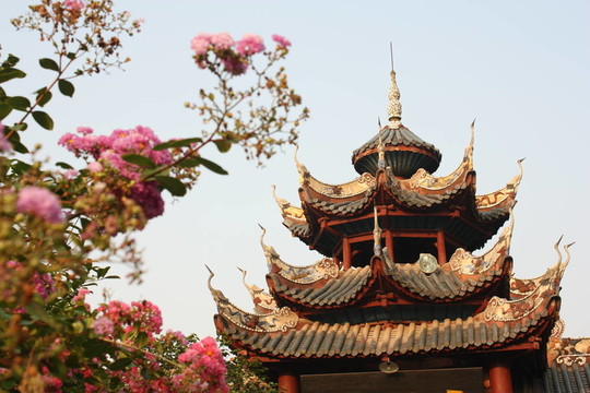 優(yōu)雅的中華寺和鮮花