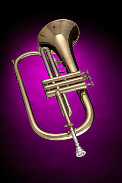 Flugelhorn Trumpet孤立在粉紅色