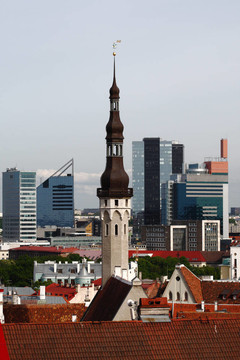 塔林首都-爱沙尼亚