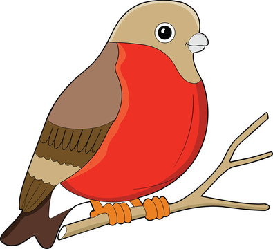 說(shuō)明鳥(niǎo)哦