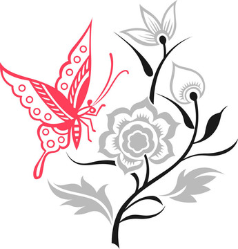 蝴蝶花插圖