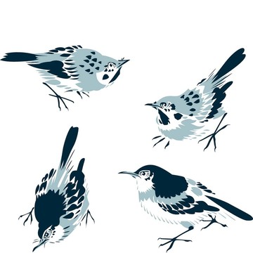 經(jīng)典東方鳥插畫