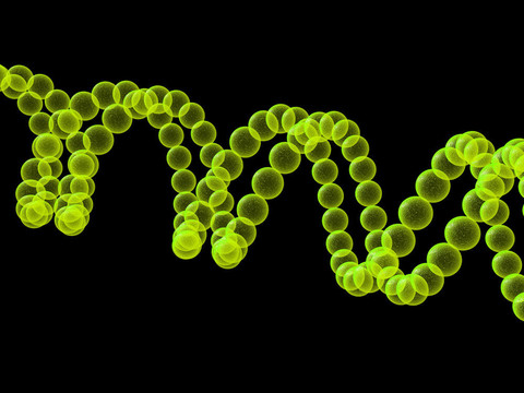 基因在DNA