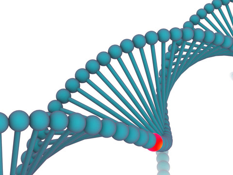 基因在DNA。