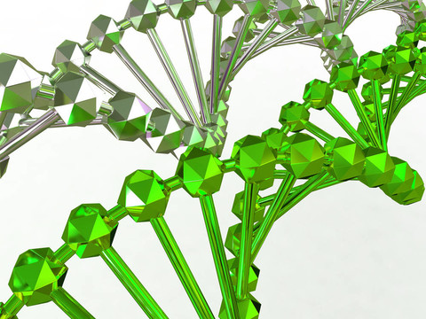基因在DNA