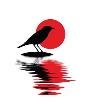 水上石頭上的鳥剪影