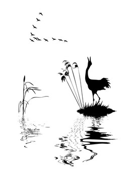 湖上鳥的剪影
