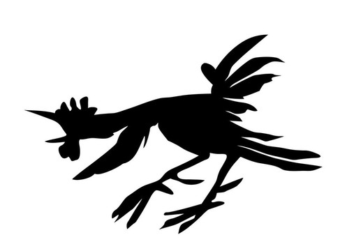 白色背景公雞動(dòng)畫(huà)