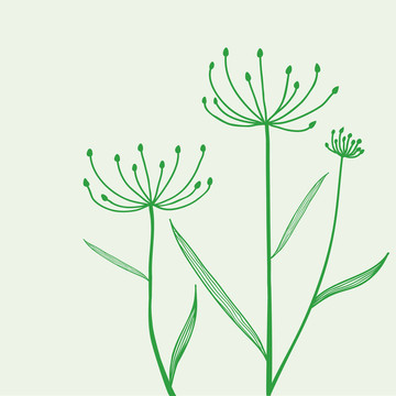 綠色背景植物