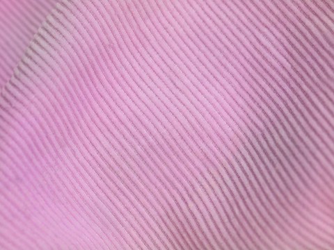 燈芯絨
