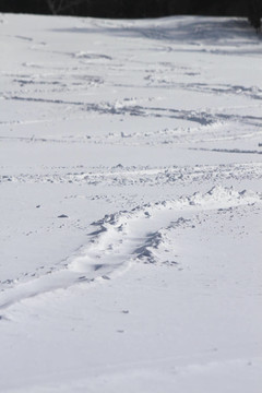 滑雪場
