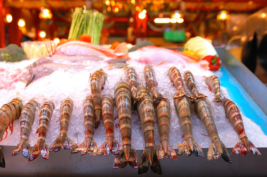 大對(duì)蝦