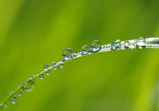 水滴