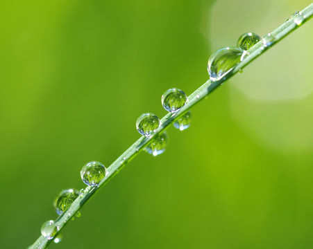 水滴