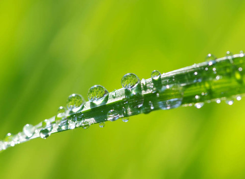 水滴