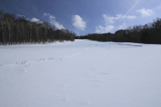 滑雪場(chǎng)