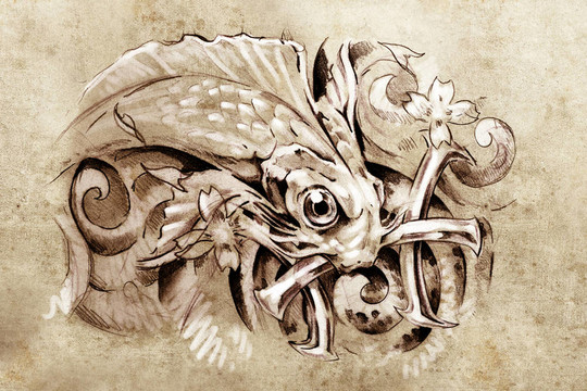 紋身藝術(shù)；一條魚(yú)的素描；藝術(shù)紋身；一條魚(yú)的素描；攀鋼