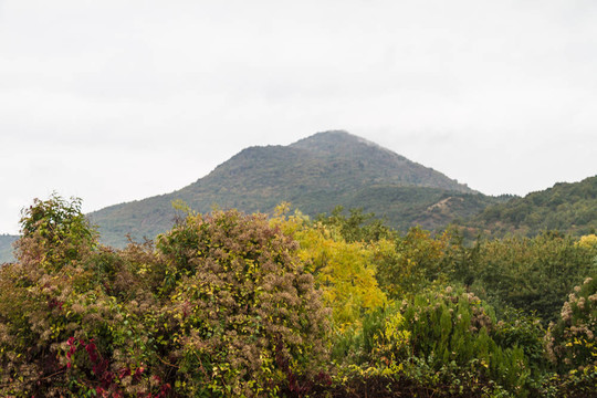 希臘高山巖石