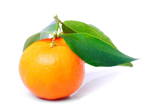 Tangerine夜店白色隔離
