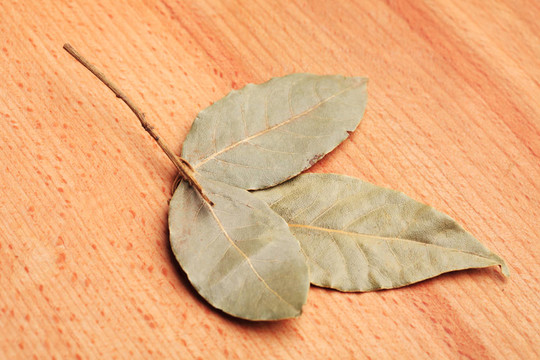 月桂樹(shù)葉
