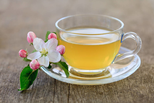 杯杯綠茶