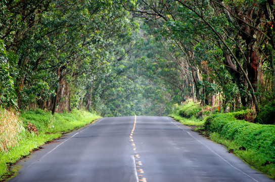路上的風(fēng)景