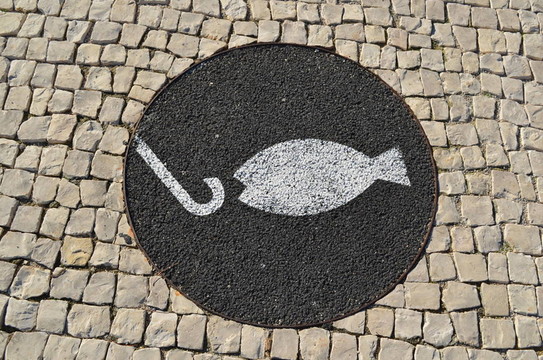 街上釣魚(yú)