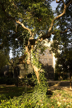 Ciutadella；巴塞羅那