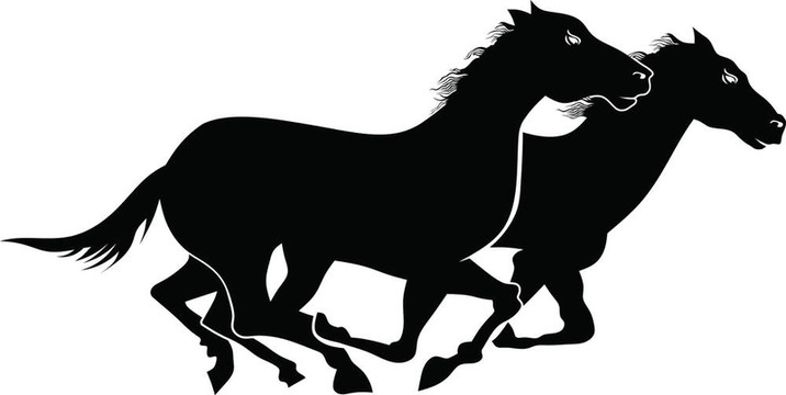 野馬