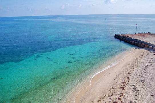 海龜沙灘