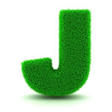 白色背景上的3D绿草信