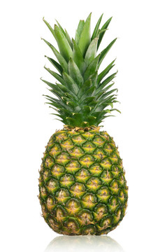 pineapple_4595（47）.jpg