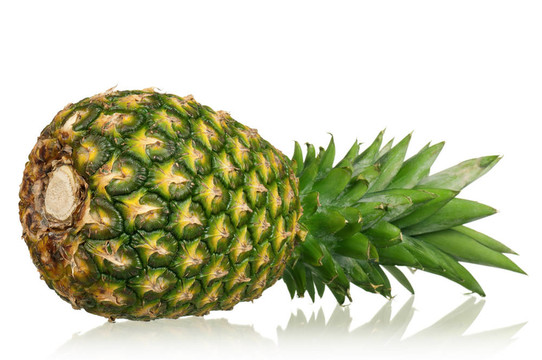 pineapple_4601（47）.jpg