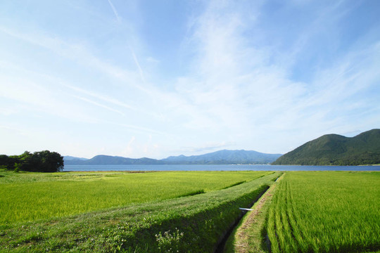 秋田大米、日本湖耳；