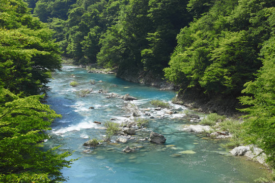 在秋田的山溝dakikaeri