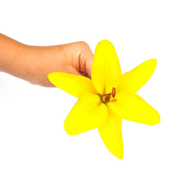 手花