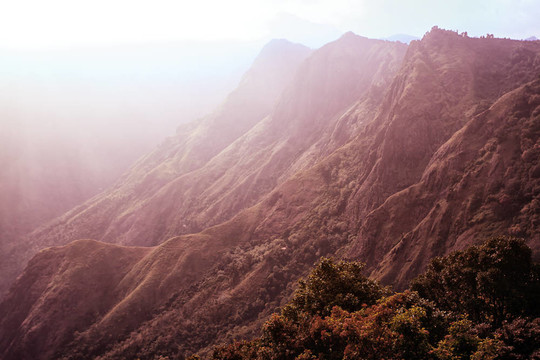山