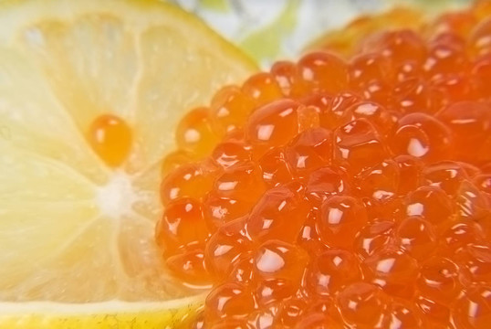 紅魚子醬